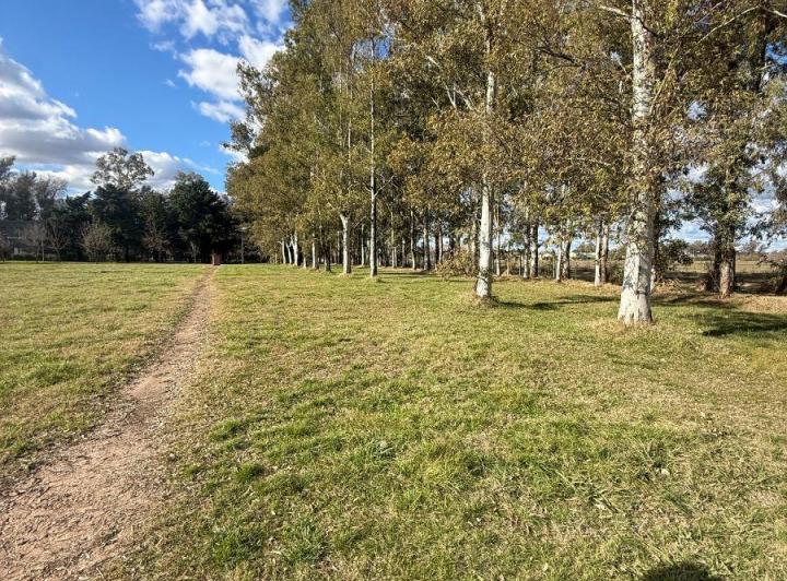 Terreno · 1000m²