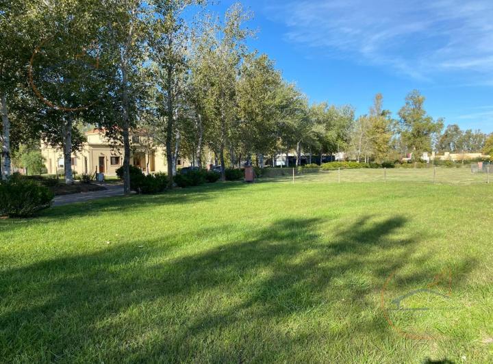 Terreno · 1003m²