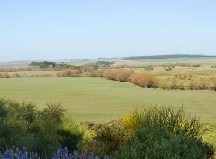 Terreno · 1800m²