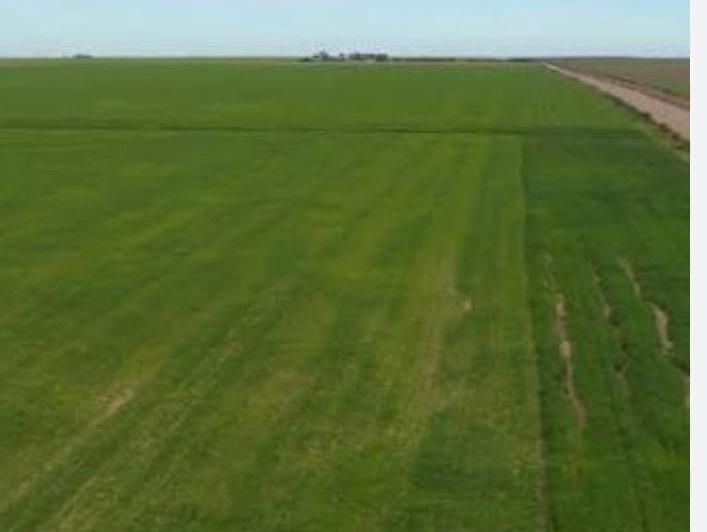 Campo · 1730000ha · 3 Ambientes