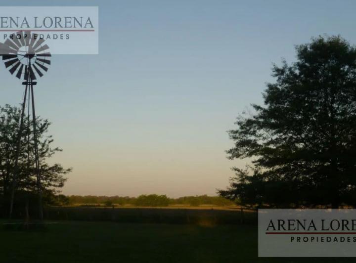 Campo · 250ha · 3 Ambientes