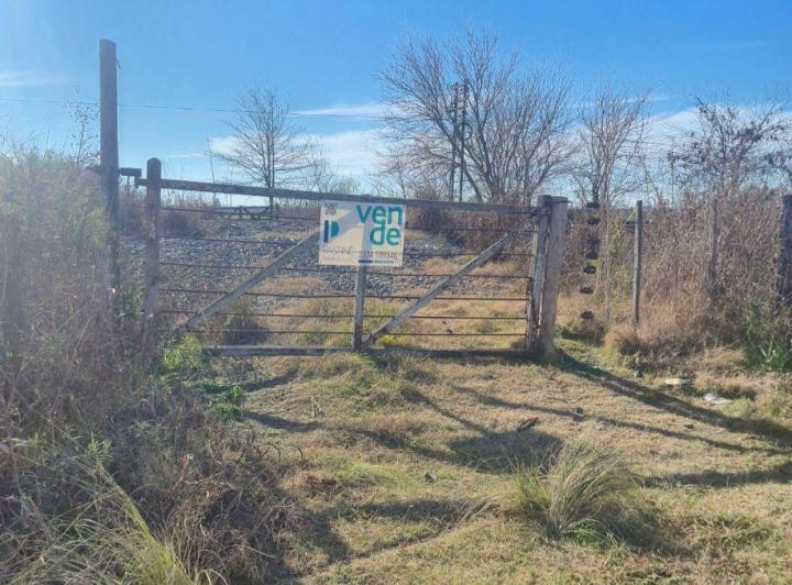 Campo · 60ha