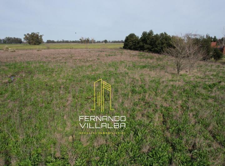 Campo · 13000m²