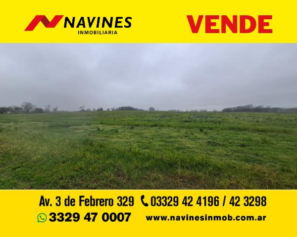 Campo · 22ha