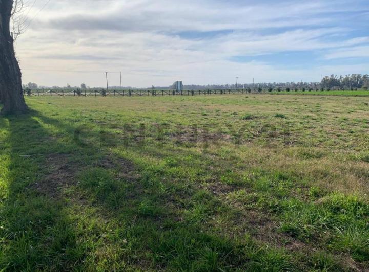 Campo · 3000m²