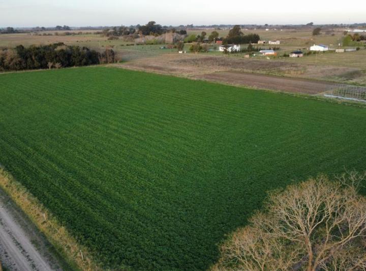 Terreno · 5000m²