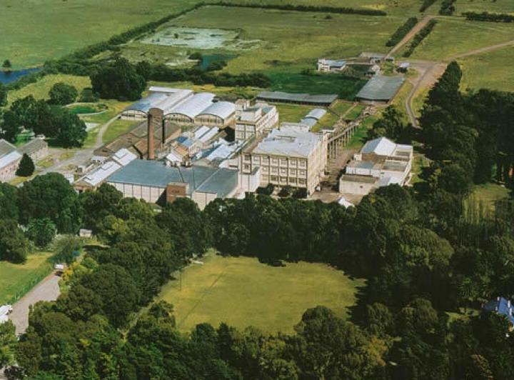 Consultorio · 55000m² · 1 Ambiente