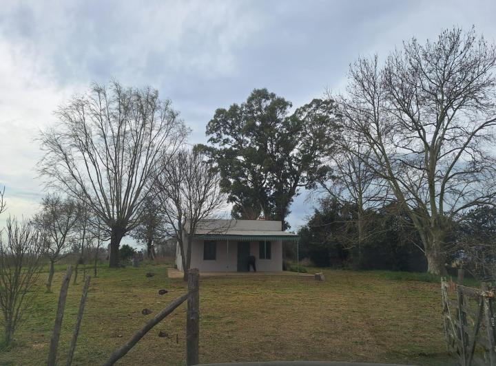 Campo · 70m² · 3 Ambientes