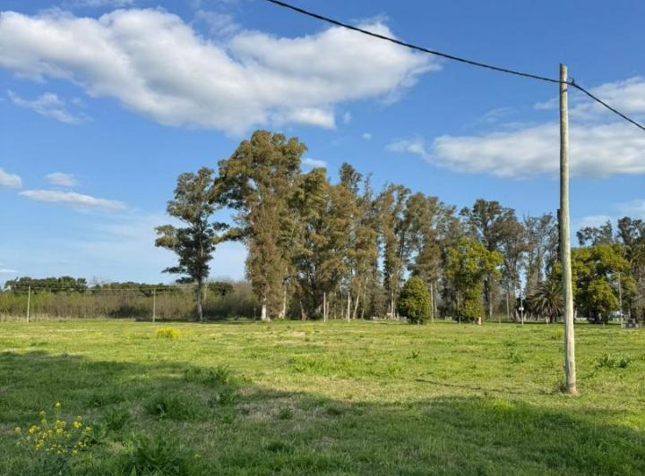Terreno · 1000m²