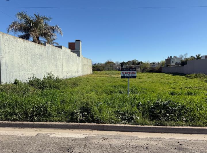 Terreno · 586m²