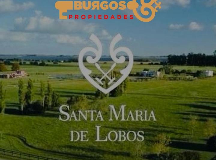Campo · 15000m²