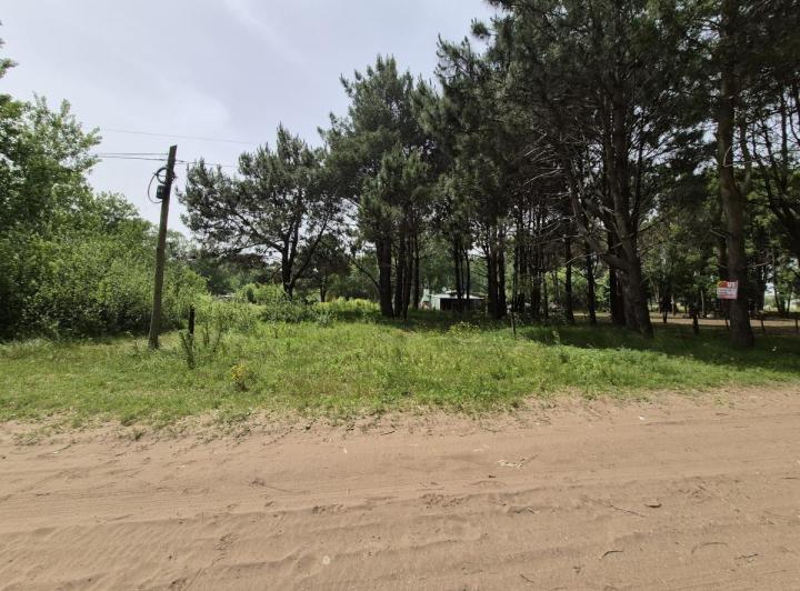 Terreno · 555m²