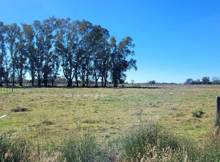 Terreno · 9992m²
