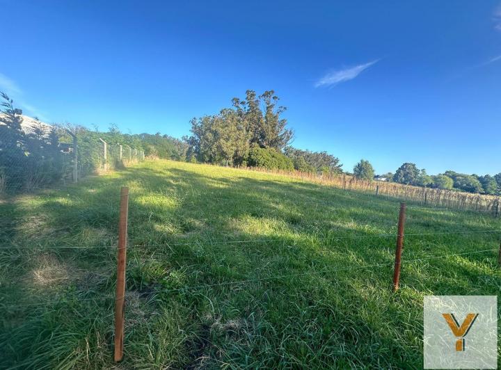 Terreno · 1115m²