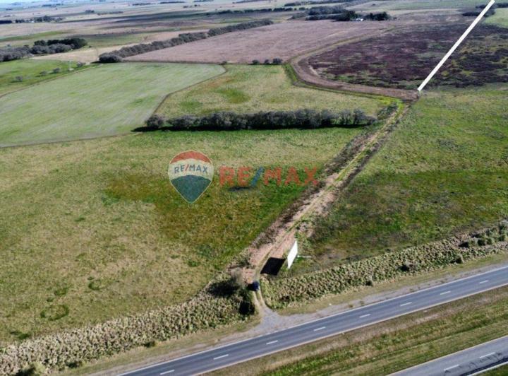 Campo · 150ha