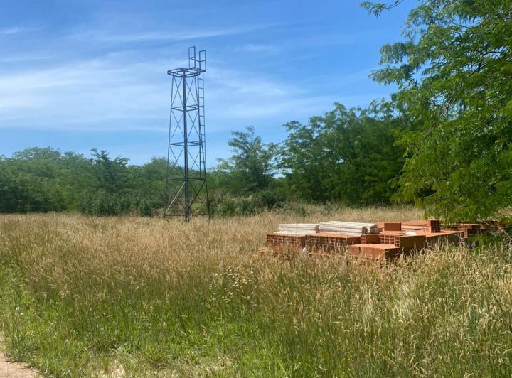 Campo