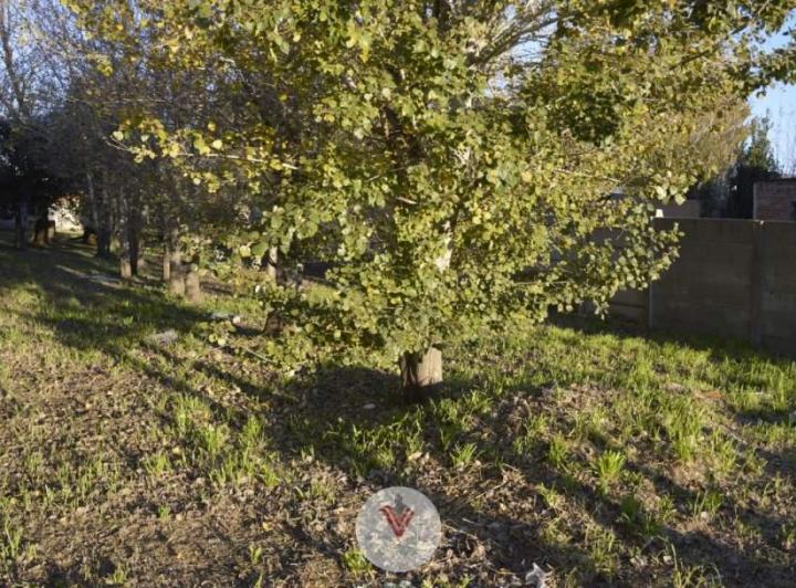 Terreno · 400m²