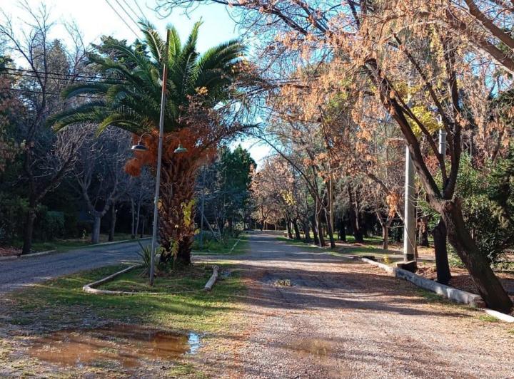 Terreno