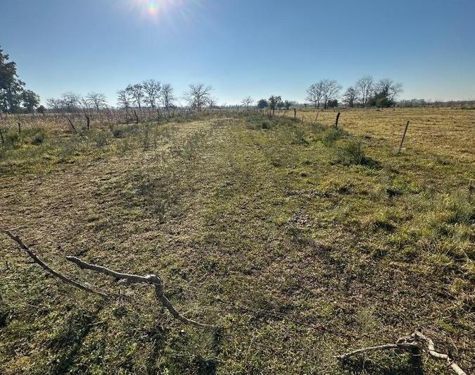 Terreno · 1000m²