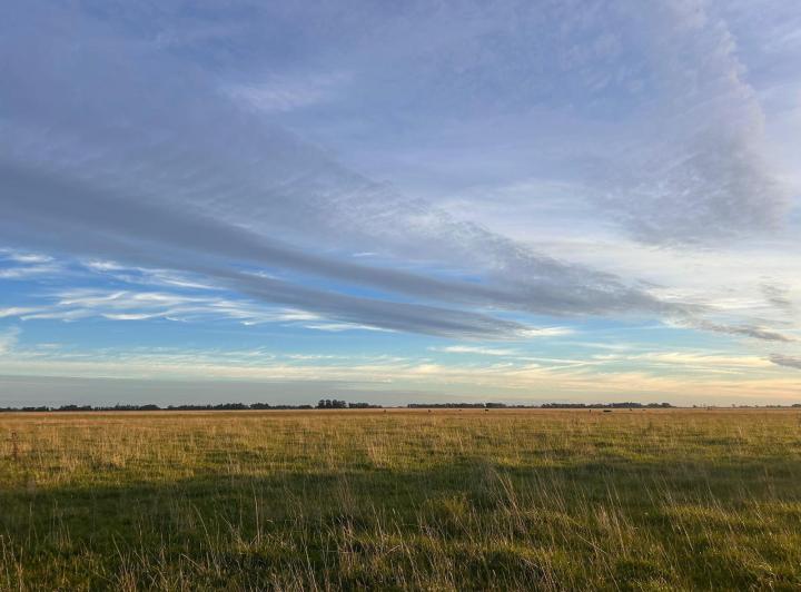 Campo · 3000000ha