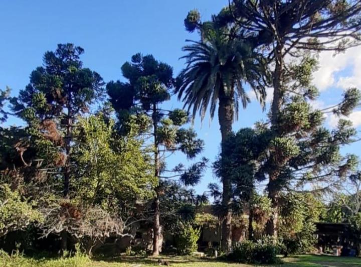 Campo · 180m² · 1 Ambiente