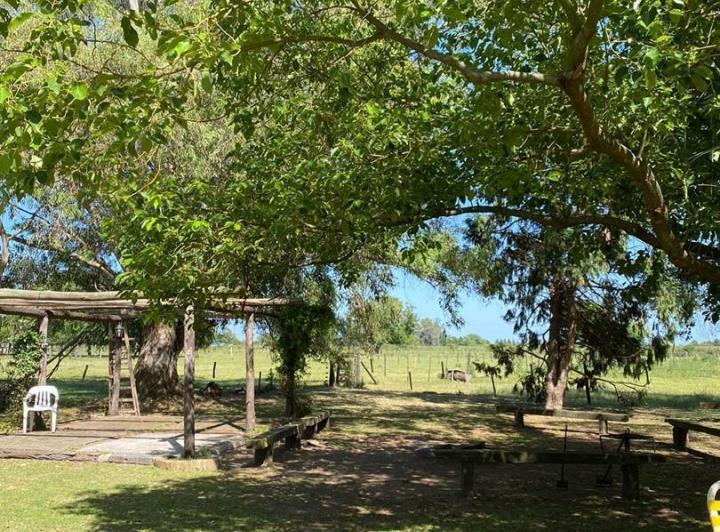 Campo · 136500m²