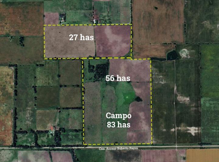 Campo · 830000ha