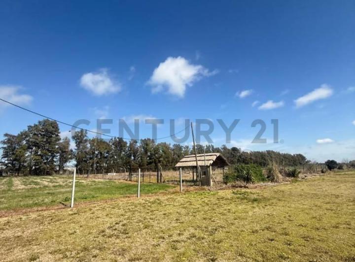 Terreno · 47482m²