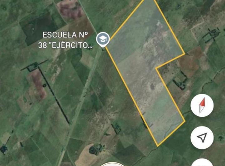 Campo · 290ha