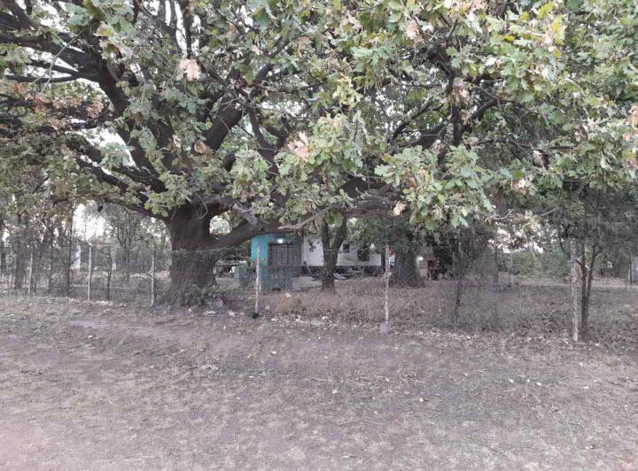 Terreno · 3987m²