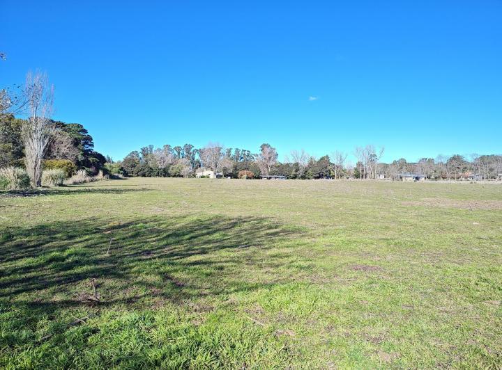 Terreno · 8428m²