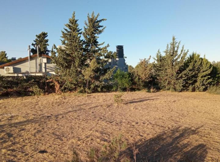 Terreno · 3950m²