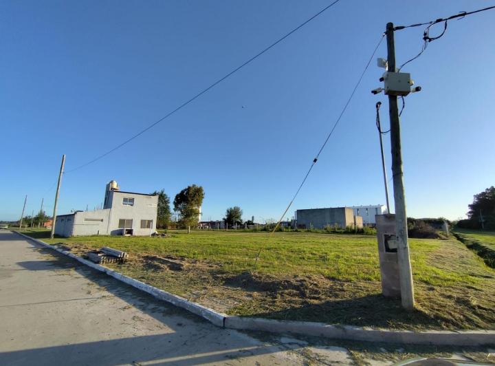 Bodega-Galpón · 220m² · 1 Ambiente