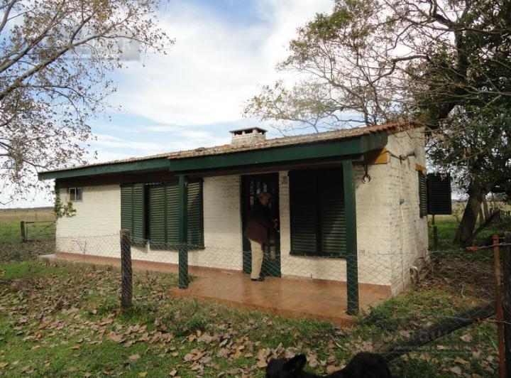 Campo · 1m²