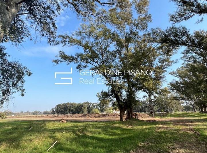 Terreno · 1000m²