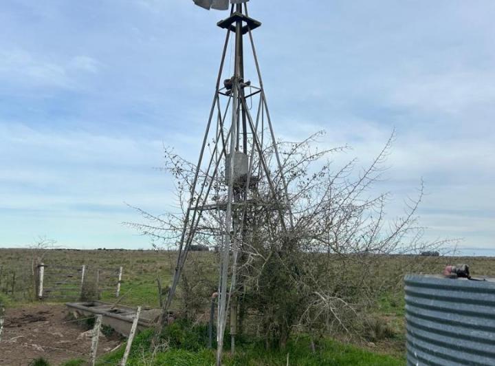 Campo · 130m² · 1 Ambiente