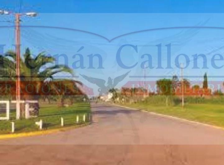 Campo · 592m² · 1 Ambiente