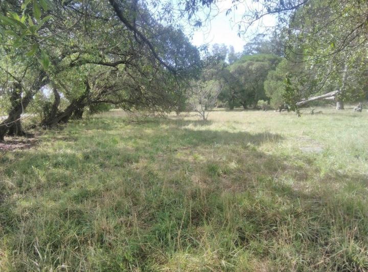 Terreno · 800m²