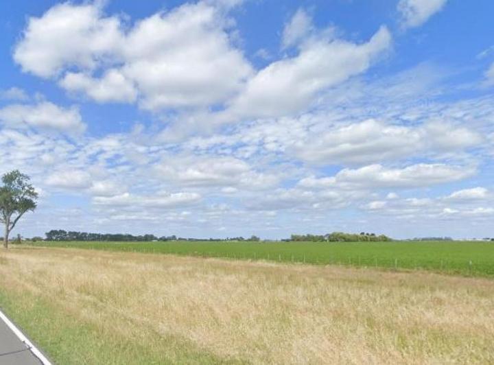 Campo · 690ha
