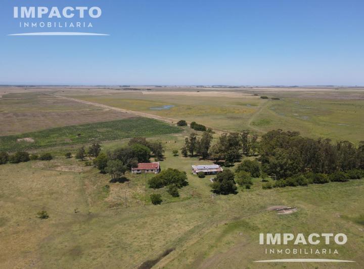 Campo · 546ha