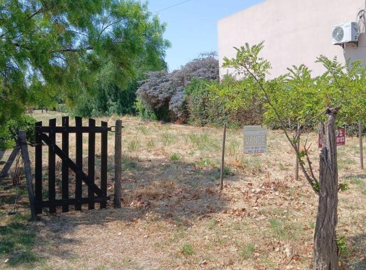 Terreno · 250m²