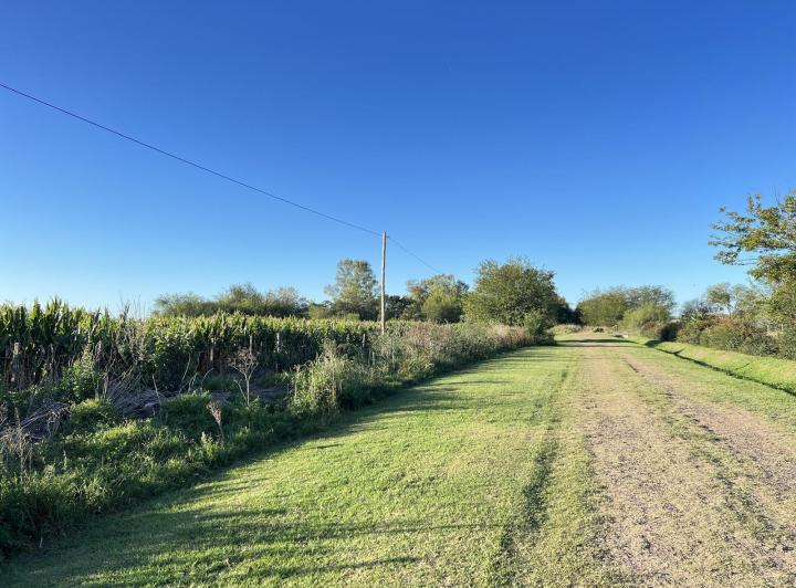 Campo · 155000m²