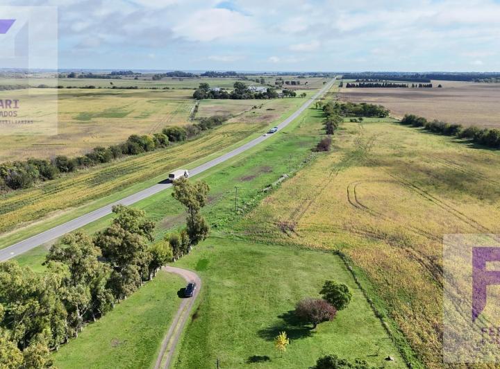 Campo · 670000m²