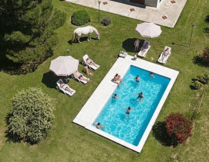 Campo · 21m²