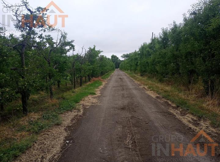 Campo · 105m² · 6 Ambientes