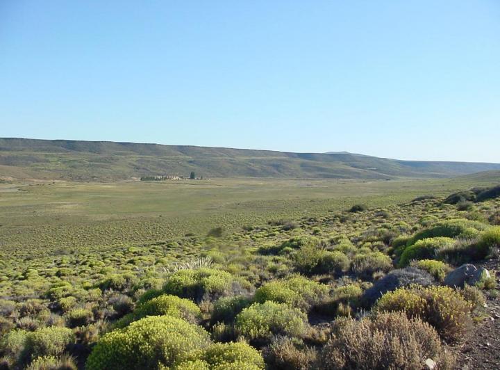 Campo · 3418ha