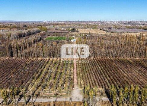 Campo · 280m²