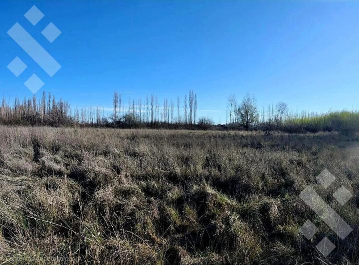 Campo · 22754m²