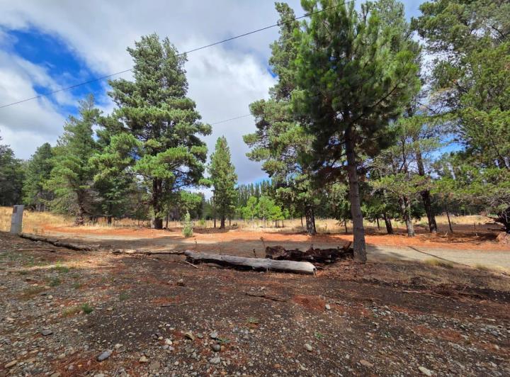 Terreno · 2500m²