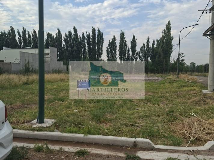 Terreno